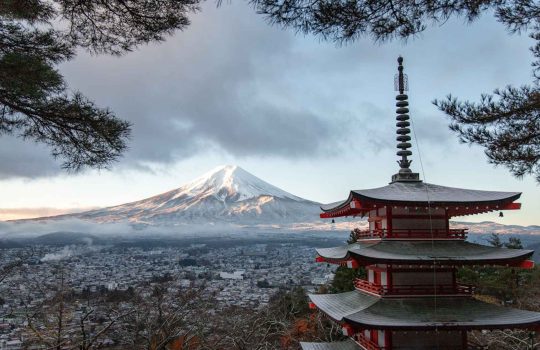 Das Bild zeigt die berühmte Chureito-Pagode im Vordergrund und den imposanten Mount Fuji im Hintergrund, in einer Szenerie, die für viele Besucher auf ihrer Japan Rundreise ein Höhepunkt ist. Die Chureito-Pagode ist eine rot-weiße, mehrstöckige Pagode, deren Architektur mit klaren, abgerundeten Dächern in traditioneller japanischer Bauweise gestaltet ist. Jede Ebene der Pagode ist mit filigranen Details versehen, die auf ihre historische und spirituelle Bedeutung hinweisen. Sie steht am Rand eines bewaldeten Hügels und ragt mit ihrer Spitze in den Himmel, eingefasst von den Ästen hoch aufragender Bäume, die den Rahmen des Bildes bilden. Im Hintergrund erhebt sich der majestätische Mount Fuji, dessen schneebedeckter, sanft geneigter Gipfel in hellem, blendendem Weiß gegen den Himmel strahlt. Der Fuji ist teilweise von Wolken umgeben, die sich sanft über das Bergmassiv ziehen und die Sicht auf den unteren Teil des Berges leicht verdecken, während sein Gipfel klar erkennbar ist. Der Himmel selbst zeigt ein sanftes Blau, das in der Ferne auf das Weiß des Fuji trifft und die beruhigende, klare Atmosphäre des frühen Morgens oder späten Nachmittags vermittelt. Zwischen der Chureito-Pagode und dem Fuji breitet sich eine Stadtlandschaft aus, die im unteren Teil des Bildes zu sehen ist. Kleine Häuser und Gebäude verteilen sich über das Tal, ihre Dächer und Strukturen erscheinen winzig im Vergleich zur massiven Größe des Fuji, der majestätisch darüber thront. Die Baumkronen am unteren Bildrand sind in warmen Herbstfarben gehalten – ein sanftes Gelb und Rot, das den friedlichen Charakter der Szene unterstreicht. Dieses Bild symbolisiert die Essenz einer Japan Rundreise: die harmonische Verbindung von Natur und Tradition. Die Chureito-Pagode, als kulturelles Wahrzeichen, und der Fuji, als Naturwunder, verkörpern die spirituelle und ästhetische Tiefe des Landes. Für blinde Leser vermittelt diese Beschreibung die ruhige, ehrfurchtgebietende Atmosphäre, die Reisende bei der Betrachtung dieses Bildes empfinden.